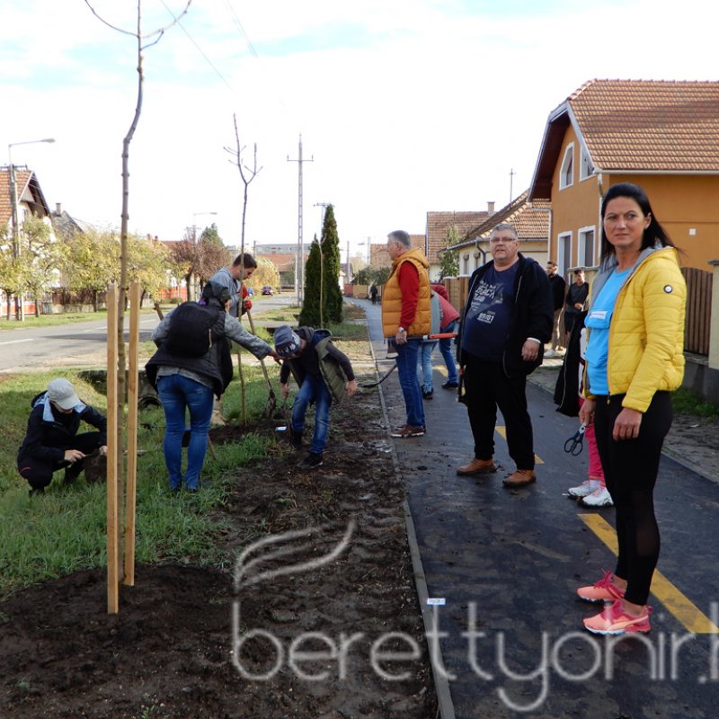 Közösségi faültetés Berettyóújfaluban 73